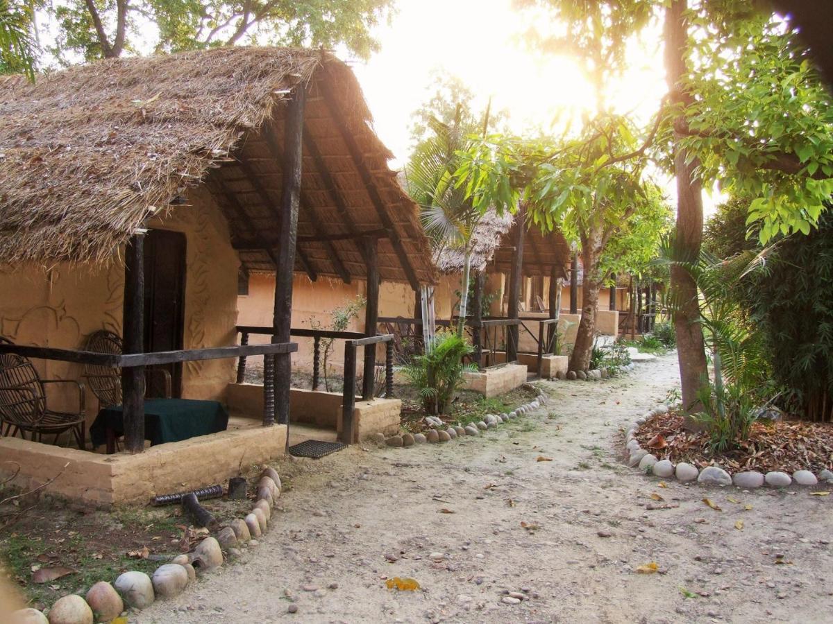 Mango Tree Lodge Bardiya Exterior foto