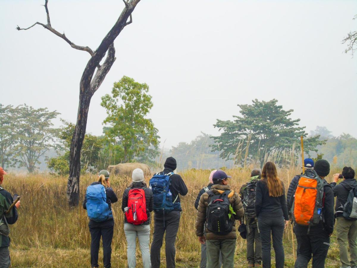 Mango Tree Lodge Bardiya Exterior foto