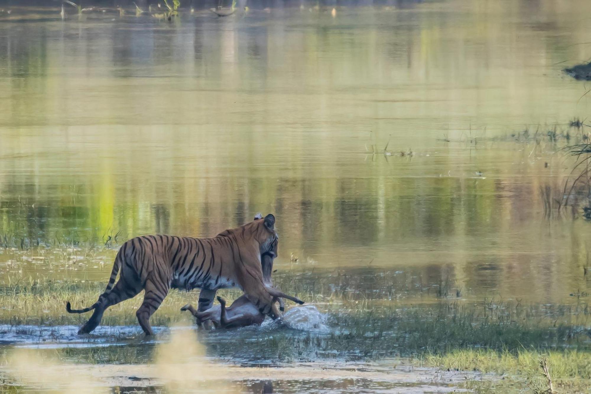 Mango Tree Lodge Bardiya Exterior foto
